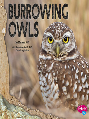 cover image of Burrowing Owls